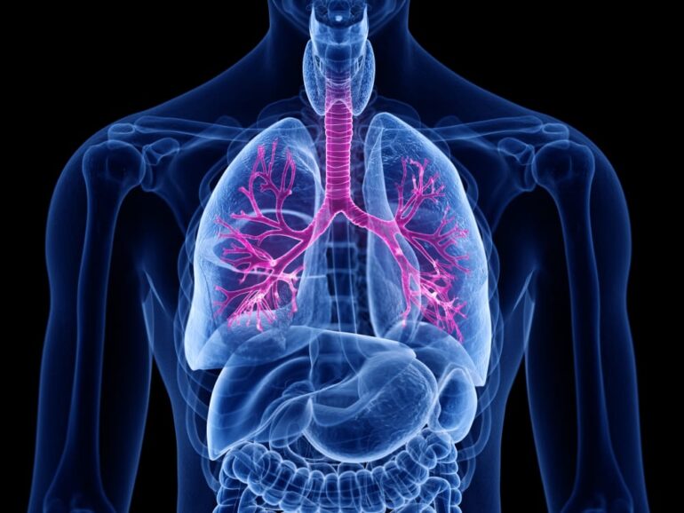FDA gives ok to Krystal Biotech cystic fibrosis clinical trial