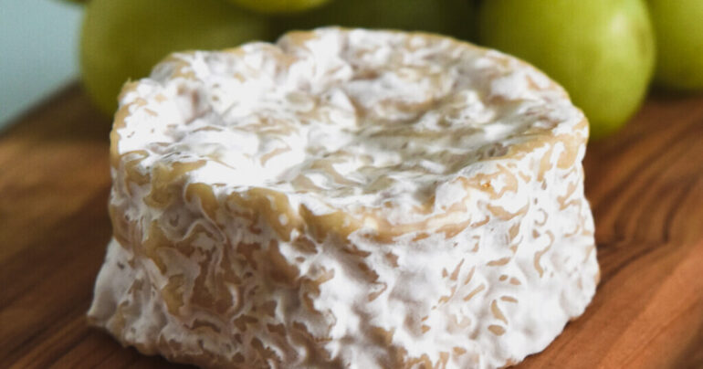Can Microbes Make French Cheese Better than Cows? Startups Raise $14 Million to Find Out.