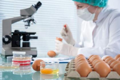 US Announces Over $2Bln In Biotech, Biomanufacturing Funding - White House - UrduPoint