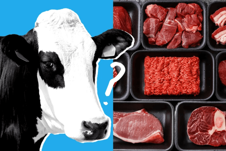 Who benefits from cell-grown meat? Livestock advocate questions wisdom of Biden’s pro-biotech executive order - Genetic Literacy Project