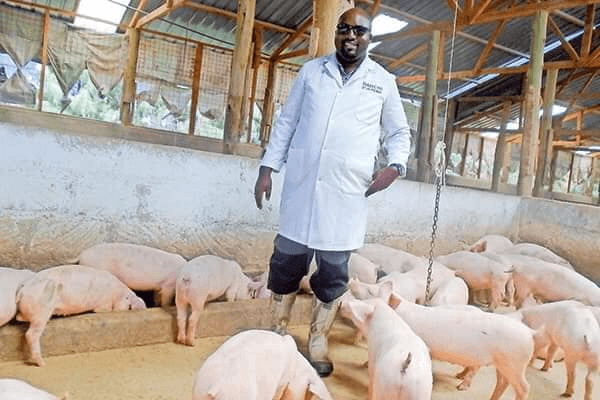 Zambia’s traditional pig farmers poised to embrace reproductive biotechnology in break from European-inspired anti-biotech sentiments  - Genetic Literacy Project