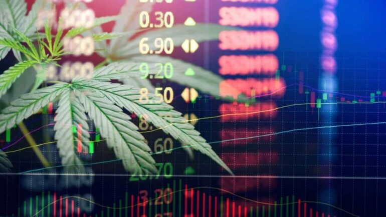 US, Canadian marijuana stocks surge, decline after Biden announcement