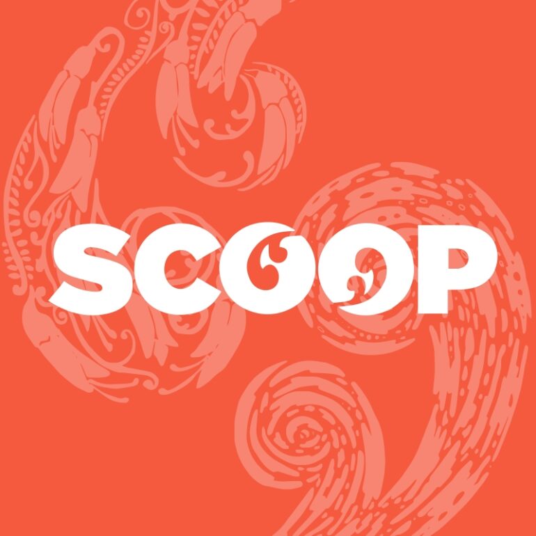 Business Finance Guarantee Scheme Interim Evaluation | Scoop News