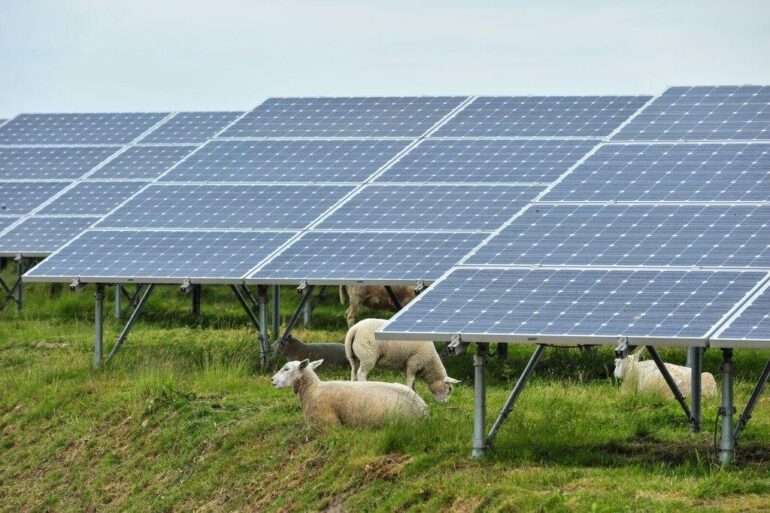 Emerging technology allows solar panels and agriculture to coexist, but legal hurdles remain