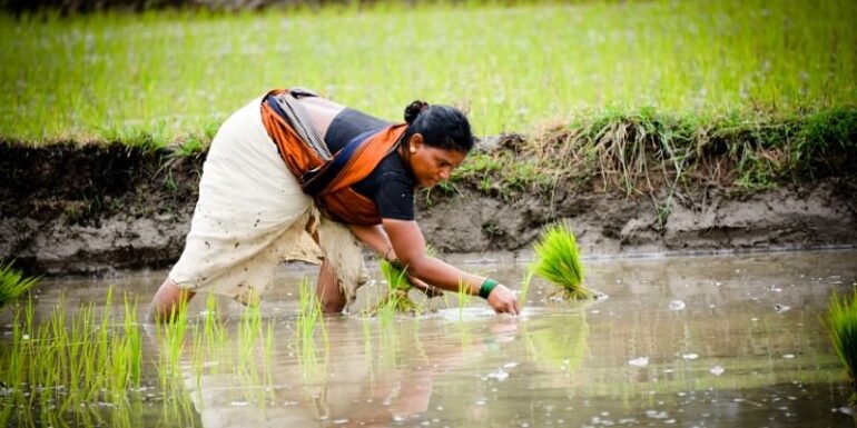 India’s agrifood startups close record-breaking $4.6B funding in FY22: Report