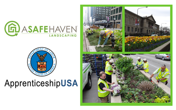 U.S. DEPARTMENT OF LABOR OFFICE OF APPRENTICESHIP APPROVES A SAFE HAVEN LANDSCAPE TECHNICIAN JOB TRAINING PROGRAM