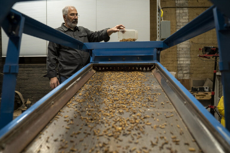 Bugs, batteries and blades: For Western New York startups, climate and clean tech is hot