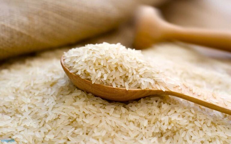 Fermenta Biotech commissions fortified rice kernel manufacturing facility in Tirupati