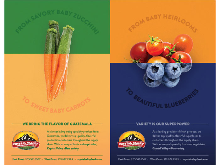 Moxxy’s Integrated Marketing Campaign Gets Results and Wins Award for Crystal Valley Foods - Perishable News
