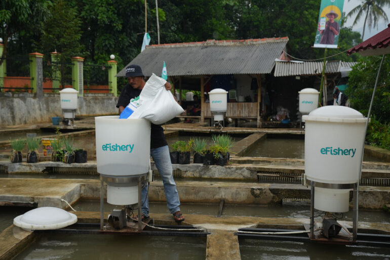 Indonesia's seafood farming: Tech startups trying to fill tech gap