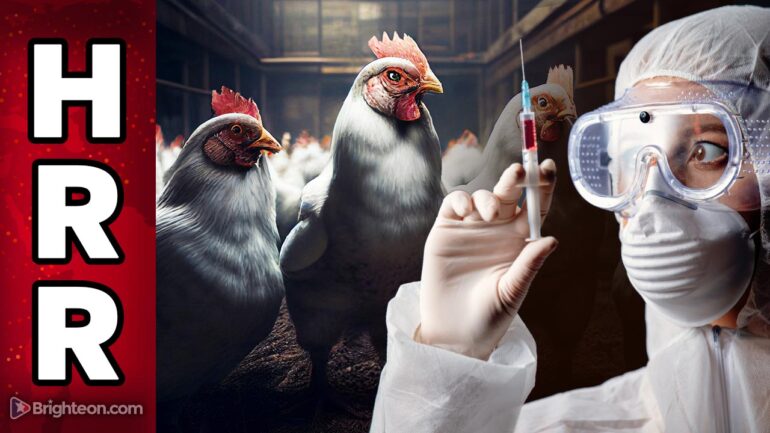 The US meat supply may soon be widely contaminated with mRNA proteins from biotech “vaccines” – NaturalNews.com