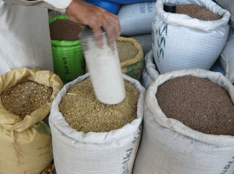 Viewpoint: Deciding between growing conventional or biotech crops in Africa? Here’s what farmers need to know - Genetic Literacy Project