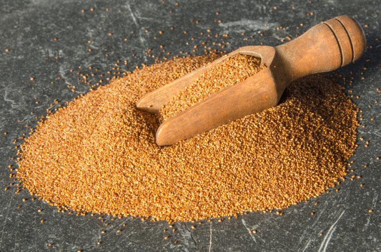 Biotech teff and safflower get the green light from USDA
