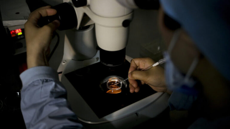 This biotech could one day make human eggs from scratch. But first, they’re trying to rethink IVF - STAT