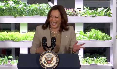 Kamala Harris: 'Some of Our Younger Small Business Owners Actually Self-Identify As Entrepreneurs'