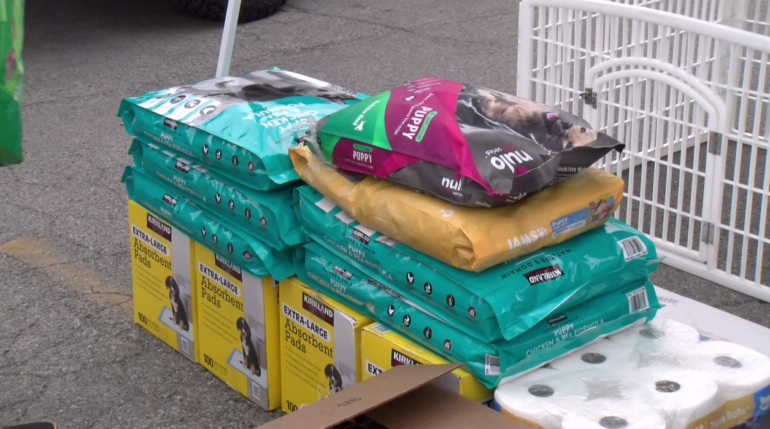 Lexington small business raises money for dog rescue non-profit - ABC 36 News