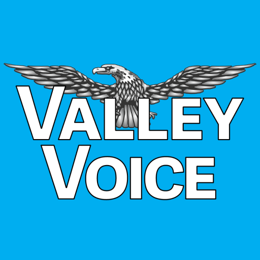 Tulare County Library’s Alpaugh, Exeter, Lindsay and Pixley branches offer ten internships - Valley Voice