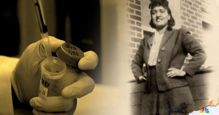 Henrietta Lacks’ family settles with biotech company over cancer cells