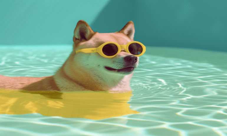ChatGPT thinks investing $1k in Dogecoin is a good idea