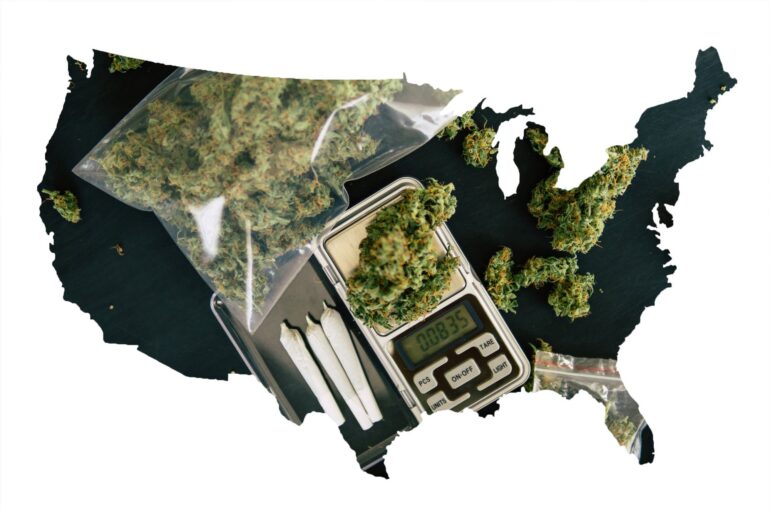 Why Canopy Growth, Aurora Cannabis, and Tilray Stocks Are All Over the Map Today | The Motley Fool