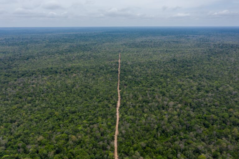 Logging route cut into Cambodia’s Prey Lang from Think Biotech’s concession