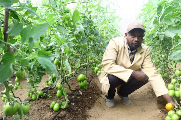 Agricultural Entrepreneurship