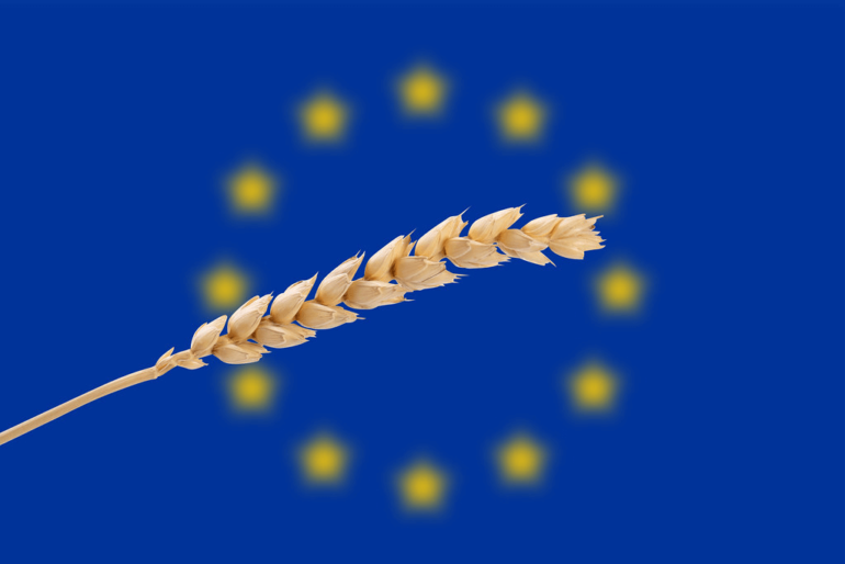 'Europe is already late to the party' when it comes to recognizing economic and strategic importance of agricultural biotech. Here’s an urgent argument for change - Genetic Literacy Project