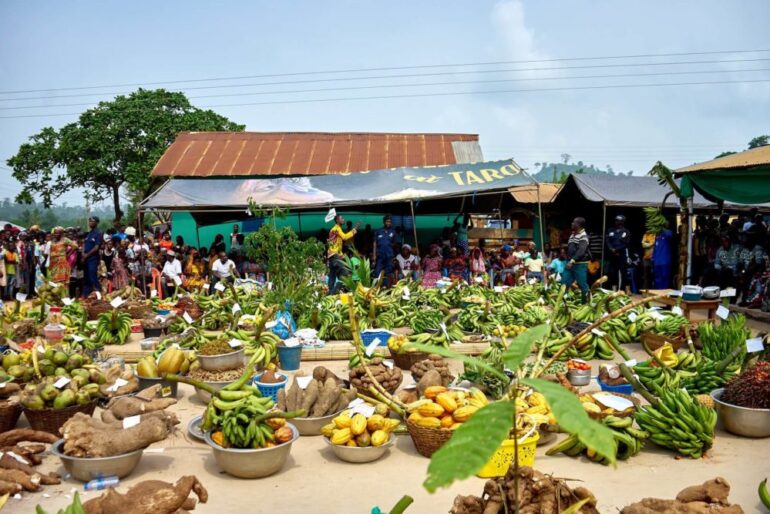 Why FMO & Endeavor are partnering again to help African agrifoodtech startups 'become investment ready'