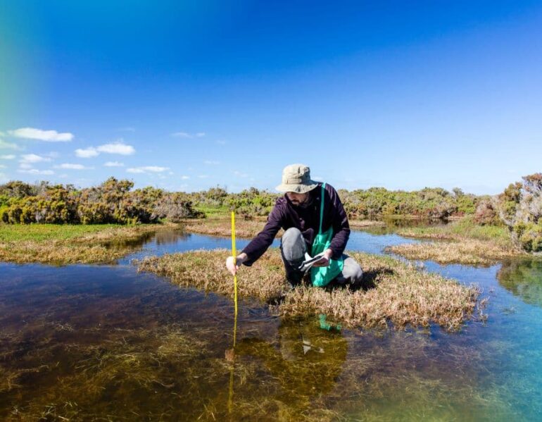 Environmental Internships | The Intern Group I Online & In-Person