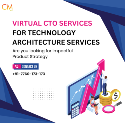 Remote virtual CTO Services for Technology Startup