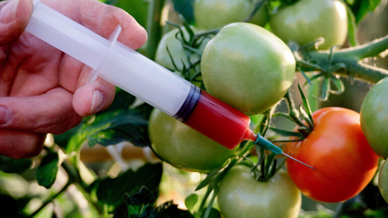 Genetically Modified Crops Aren't a Solution to Climate Change, Despite What the Biotech Industry Says - Dr. Rath Health Foundation