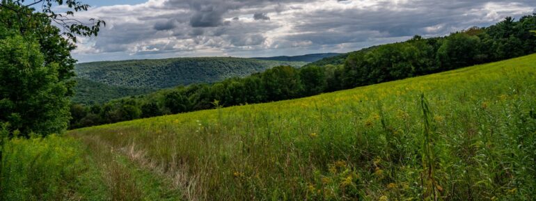 Finger Lakes Land Trust Offering Paid Internships for Diverse Applicants