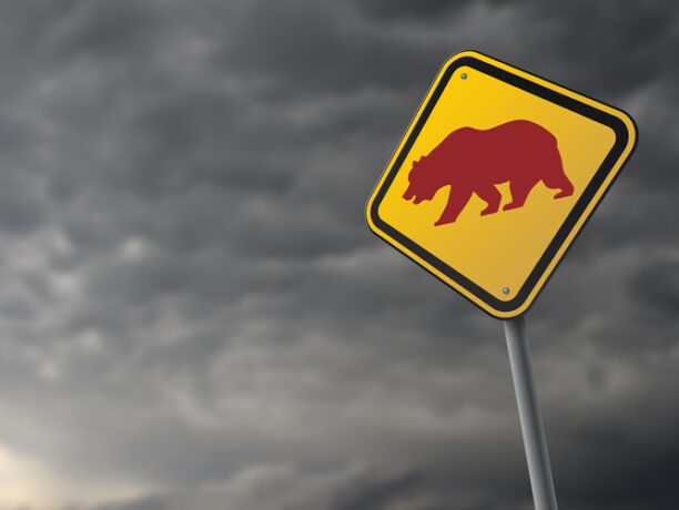 Navigating the Biotech Bear Market – Health and Wealth Bulletin